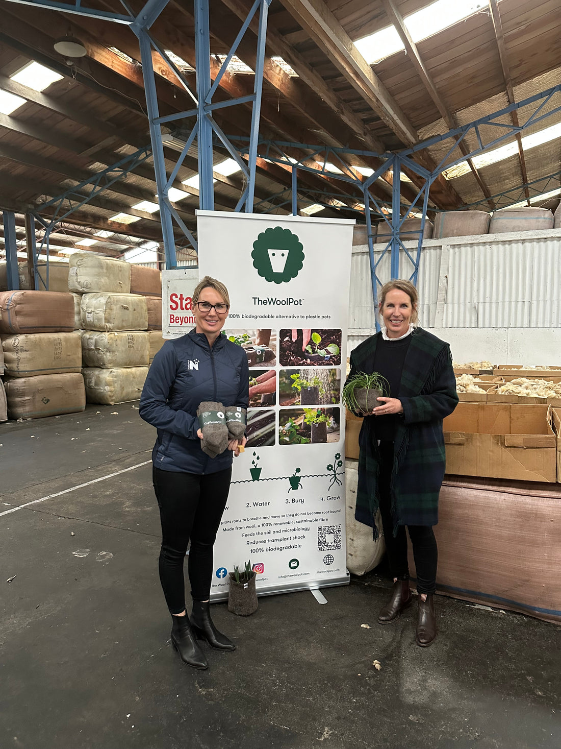 "Woollen plant pot reduces single-use plastic, finds alternative use for wool"