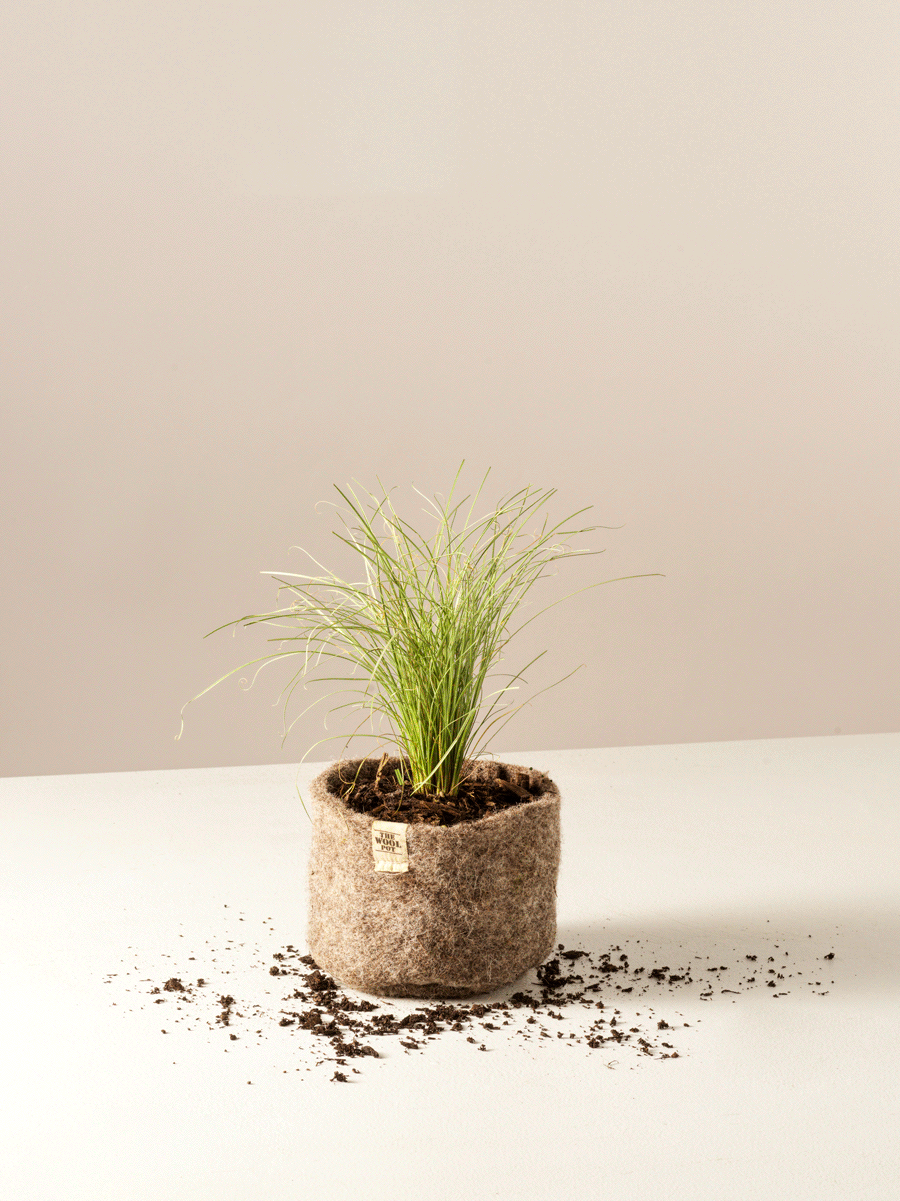 The Wool Pot- 3 pack