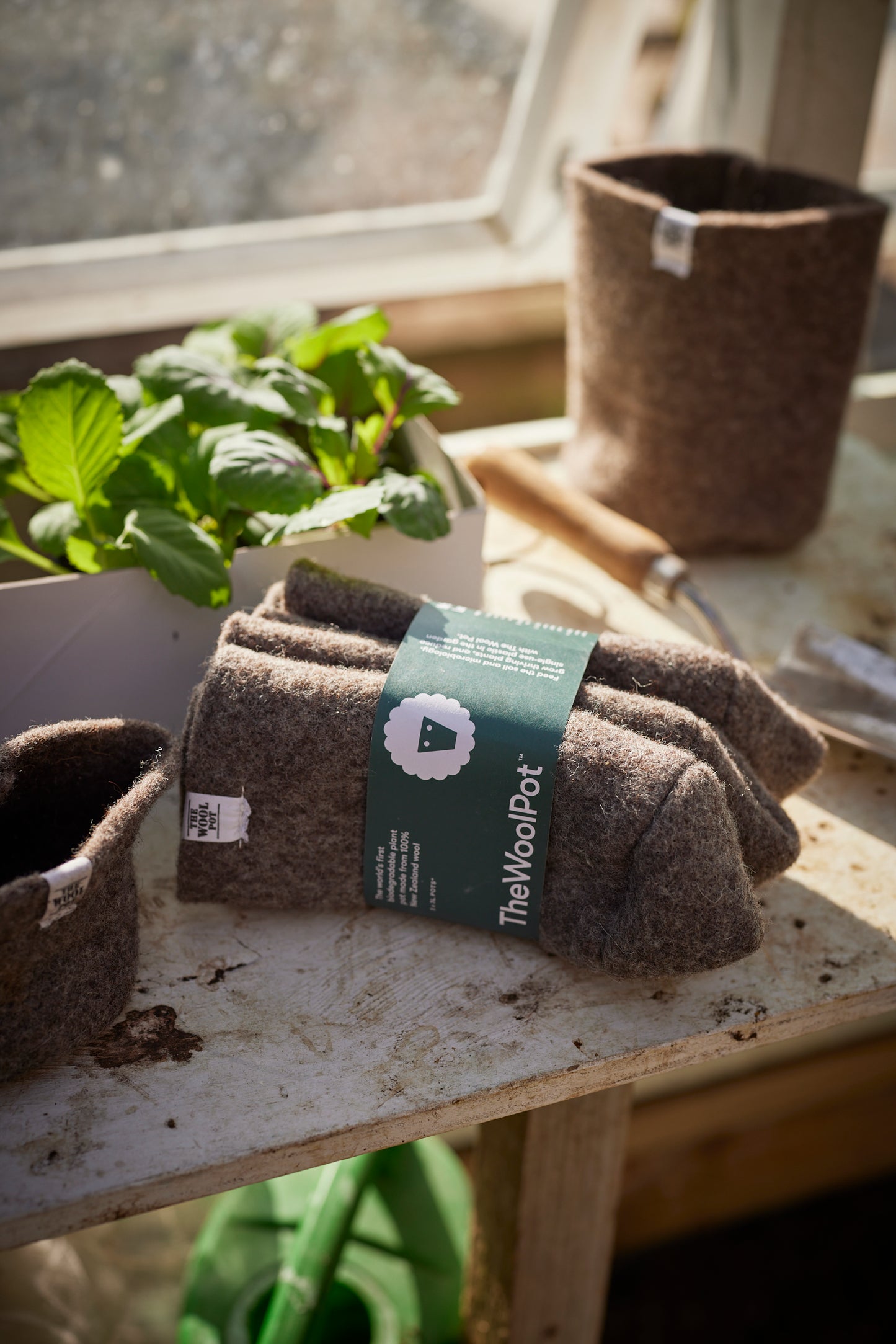 The Medium Wool Pot- 3 pack