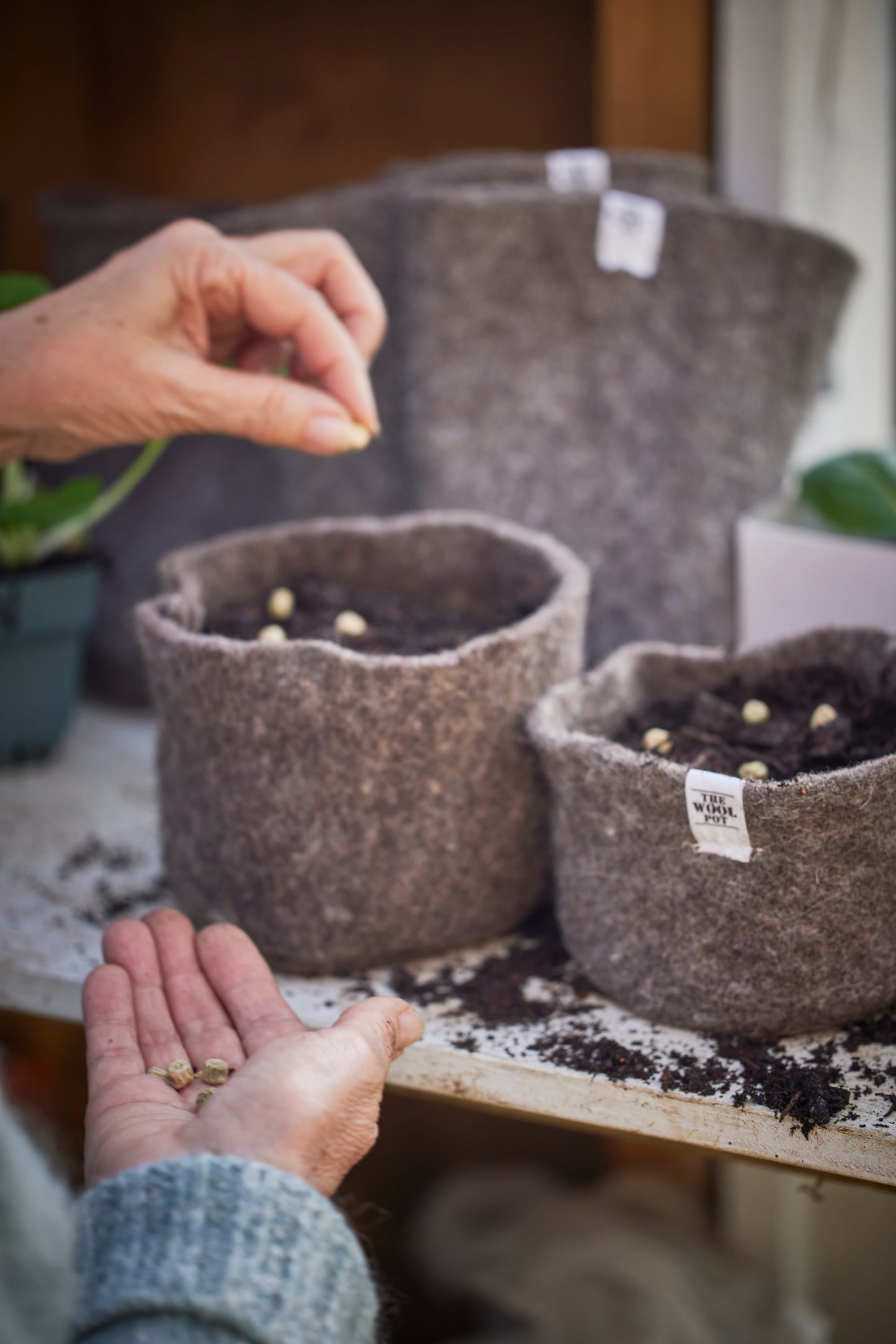 The Medium Wool Pot- 3 pack